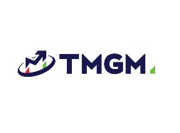 外汇高手的TMGM实力